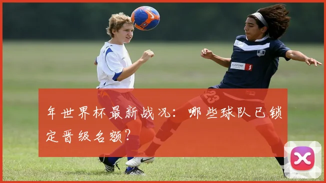 年世界杯最新战况：哪些球队已锁定晋级名额？