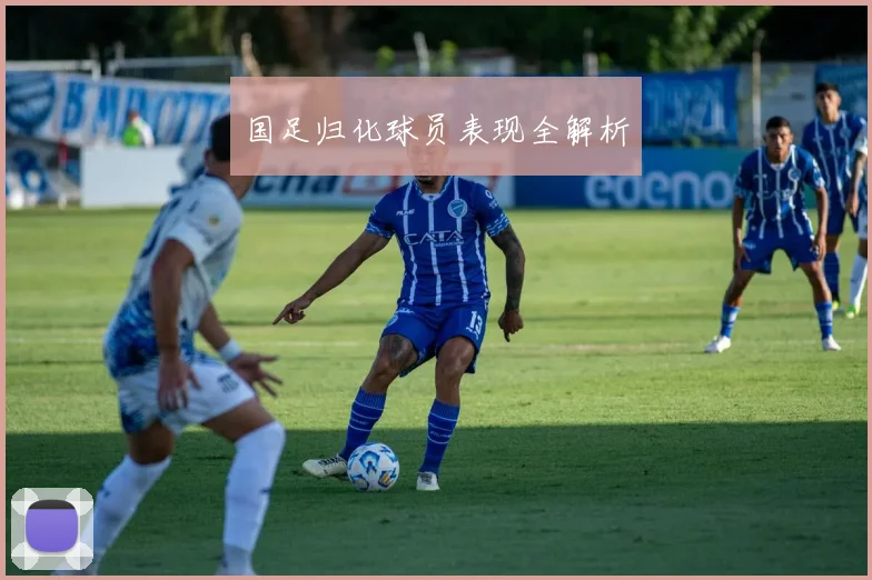国足归化球员表现全解析