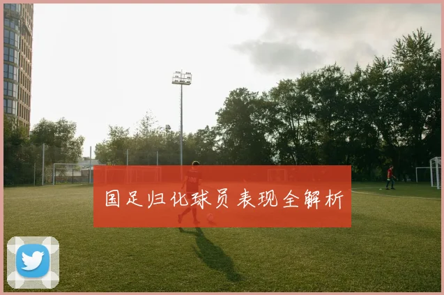 国足归化球员表现全解析