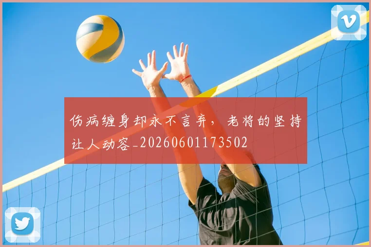 伤病缠身却永不言弃,老将的坚持让人动容_20260601173502
