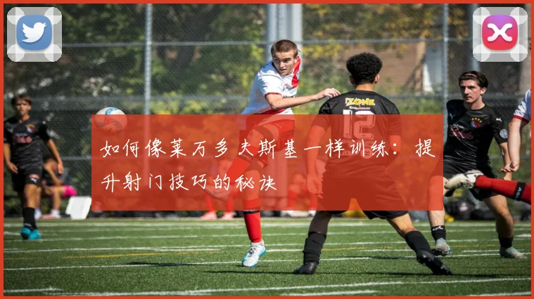 如何像莱万多夫斯基一样训练：提升射门技巧的秘诀